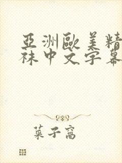 亚洲欧美精品丝袜中文字幕