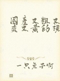 国产又粗又猛又爽又黄的视频,久久精品视频