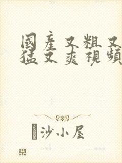 国产又粗又长又猛又爽视频