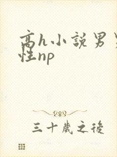 高h小说男男双性np