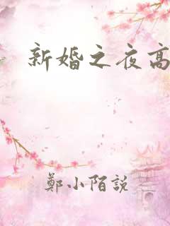 新婚之夜高h