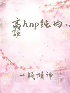 高hnp纯肉小说