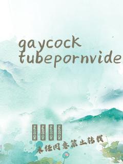 gaycocktubepornvideochina