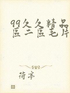 99久久精品一区二区毛片