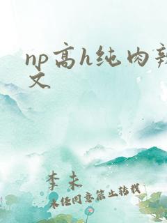 np高h纯肉辣文
