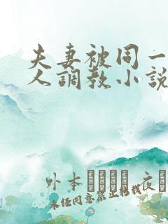 夫妻被同一个主人调教小说