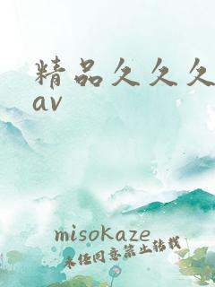 精品久久久蜜臀av