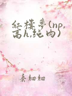 红楼梦(np,高h,纯肉)