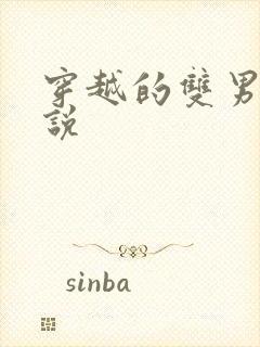 穿越的双男主小说