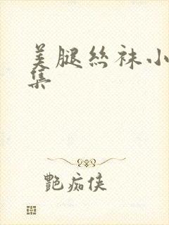 美腿丝袜小说合集