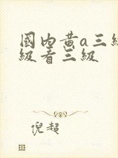 国内黄a三级三级看三级