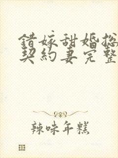 错嫁甜婚总裁的契约妻完整版