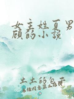 女主姓夏男主姓顾的小说