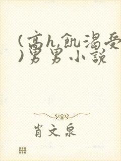 (高h,饥渴受)男男小说
