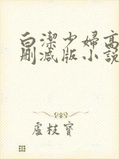 白洁少妇高义无删减版小说下载