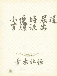 小便时尿道刺痛有脓流出