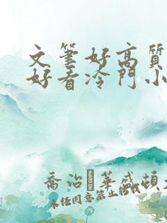 文笔好高质量超好看冷门小说