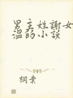 男主姓谢女主姓温的小说