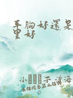 平胸好还是胸大里好