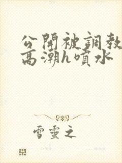 公开被调教当众高潮h喷水