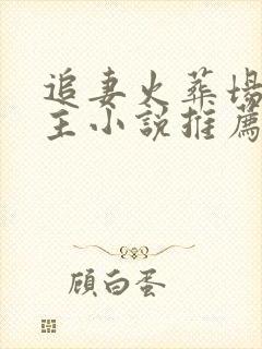 追妻火葬场双男主小说推荐