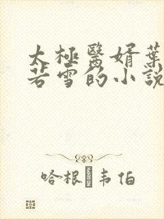 太极医婿叶凡唐若雪的小说