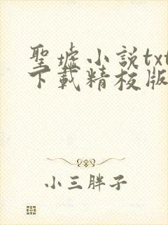 圣墟小说txt下载精校版