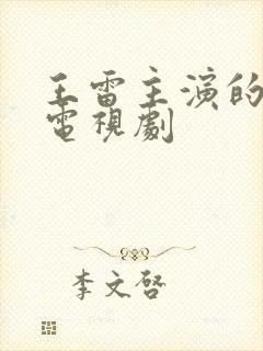 王雷主演的全部电视剧