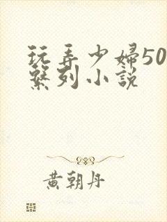 玩弄少妇500系列小说