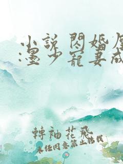 小说 闪婚厚爱:墨少宠妻成瘾