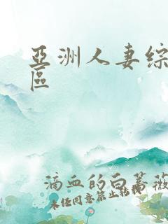 亚洲人妻综合一区