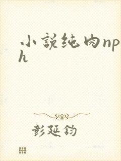 小说纯肉np高h