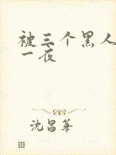 被三个黑人猛躁一夜