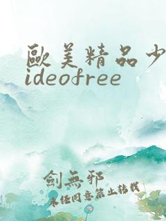 欧美精品少妇videofree