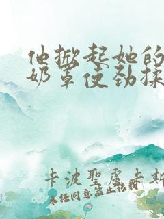 他掀起她的蕾丝奶罩使劲揉小说