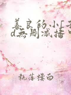 善良的小[子hd无删减播中文