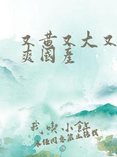 又黄又大又色又爽国产