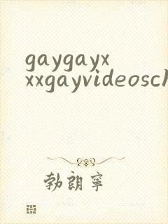 gaygayxxxgayvideoschinese