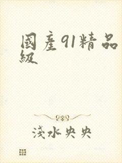 国产91精品三级