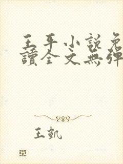 王平小说免费阅读全文无弹窗