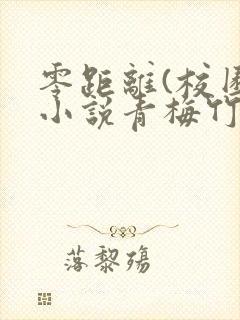 零距离(校园)小说青梅竹马