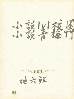 小说1v1校园小说青梅竹马