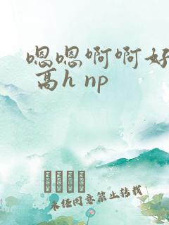 嗯嗯啊啊好爽啊 高h np