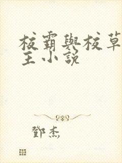 校霸与校草双男主小说