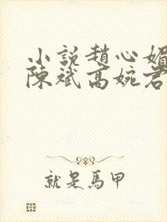 小说赵心媚主角陈斌高婉君