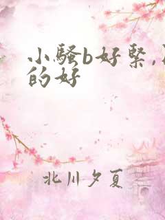 小骚b好紧,日的好