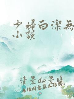 少妇白洁无删减小说