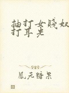 抽打女贱奴双乳打耳光