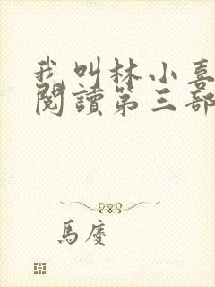 我叫林小喜全文阅读第三部