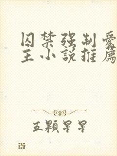 囚禁强制爱双男主小说推荐